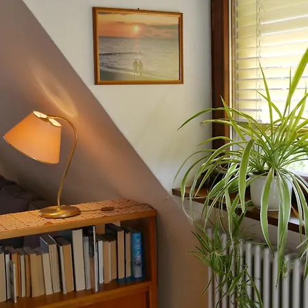 Ferienwohnung Lahr Appartement Lahr/Schwarzwald